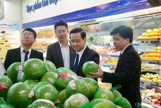 Hải Phòng: Trái cây gắn tem nhập khẩu bày bán tràn lan
