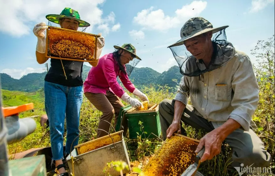 Xây dựng thương hiệu sản phẩm miền núi: Chuyên gia khuyến nghị