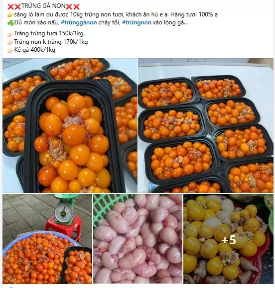 Trứng gà non bán tràn lan, người tiêu dùng hoang mang