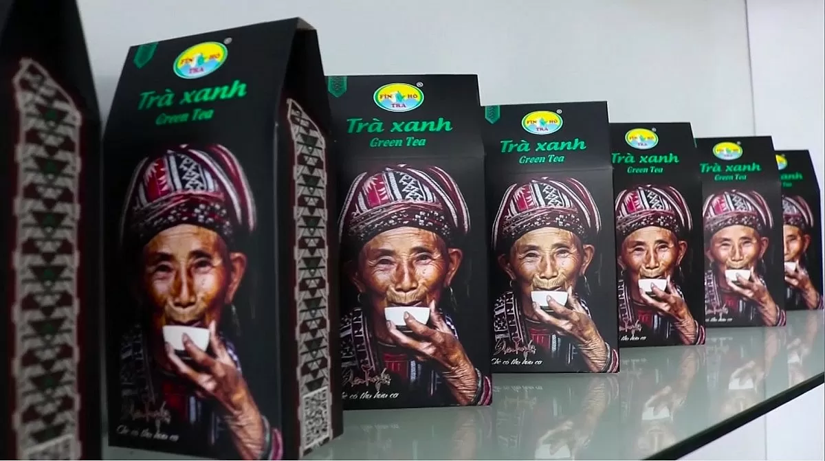 Chè Shan tuyết Hà Giang: ‘Mạch nguồn xanh’ giúp đồng bào Dao thoát nghèo