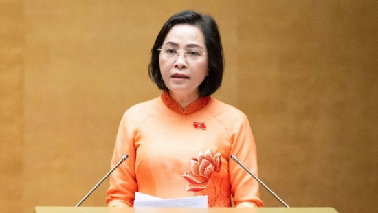 de xuat rut ngan nhiem ky quoc hoi va hdnd truoc 3 thang de kien toan bo may