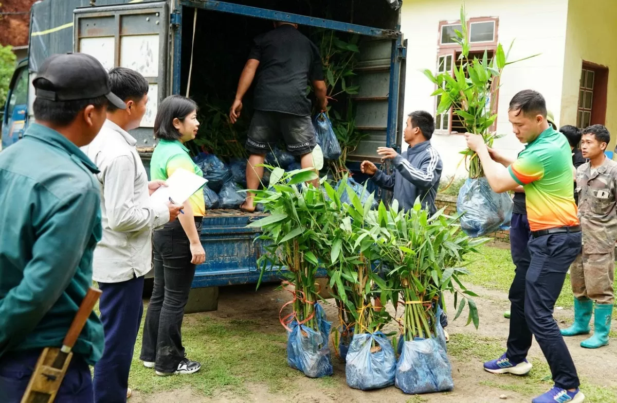 Dược phẩm Hoa Linh: Gieo mầm xanh, hướng tới phát triển bền vững