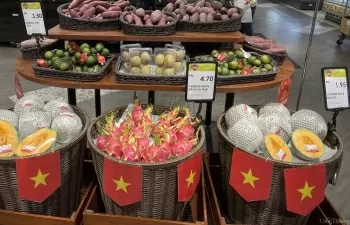 hoi cho hang viet buoc dem mo cua thi truong malaysia