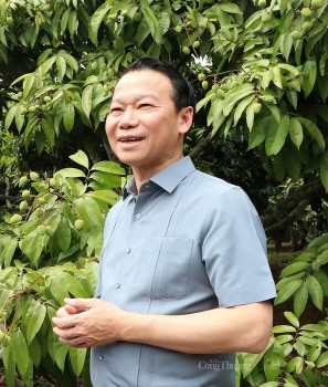Chuẩn bị những điều kiện tốt nhất về thị trường cho trái vải