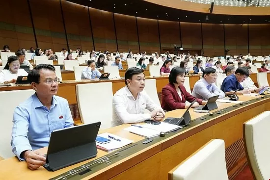 Áp thuế suất 2% doanh thu: Gánh nặng vô tình rơi vào ai?
