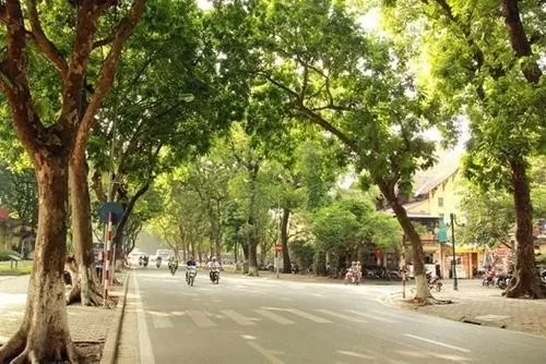 Thời tiết hôm nay 13/5: Bắc Trung Bộ ngày nắng đêm mưa