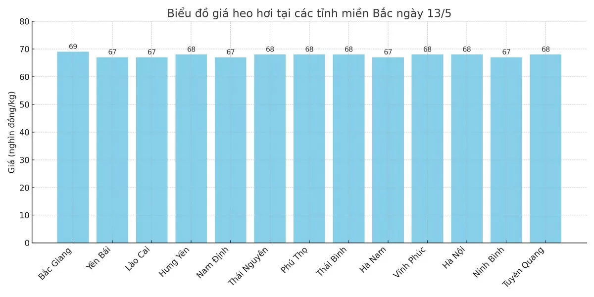 Biểu đồ giá heo hơi tại các tỉnh miền Bắc ngày 13/5.