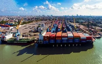 hai phong vuon minh tu tien doan cua bac ho den ghi nhan cua tong bi thu