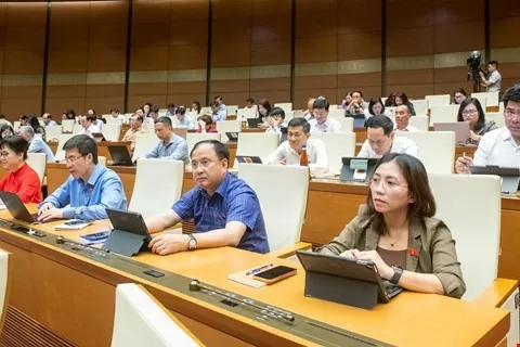 Những mặt hàng nào được đề xuất giảm thuế giá trị gia tăng?