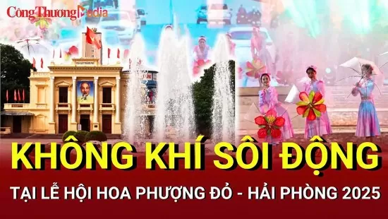 Toàn cảnh không khí sôi động tại Lễ hội Hoa Phượng Đỏ