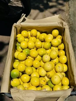 Chanh leo độc lạ
