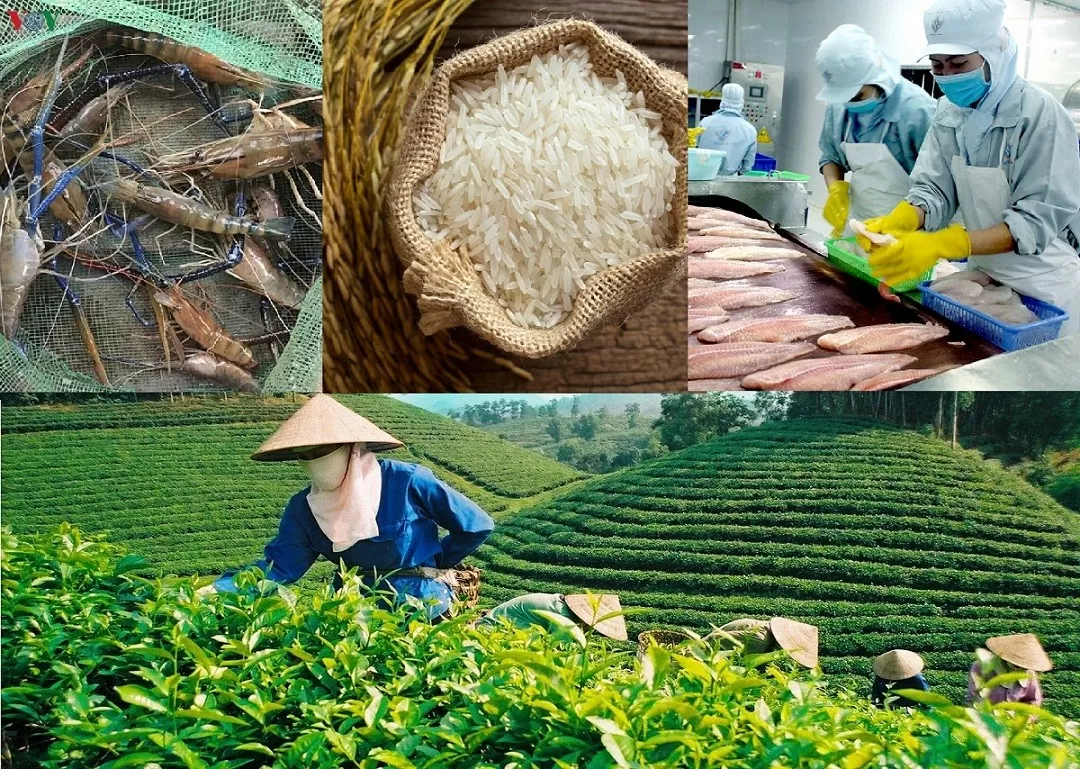 Giải mã chênh lệch chỉ số FTA Index giữa các tỉnh, thành