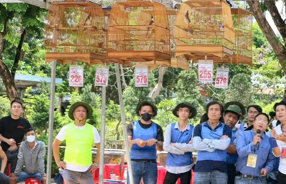 Thành phố Huế: Khuyến cáo người chơi chim cảnh cần có giấy tờ hợp pháp