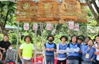 Thành phố Huế: Khuyến cáo người chơi chim cảnh cần có giấy tờ hợp pháp