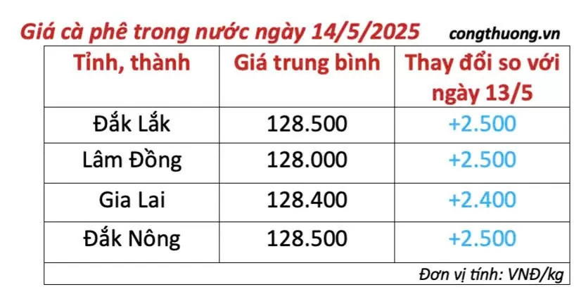 Dự báo giá cà phê ngày mai 15/5/2025, thị trường tăng