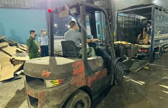 Quản lý thị trường Vĩnh Phúc tiêu hủy gần 800kg thịt lợn bẩn