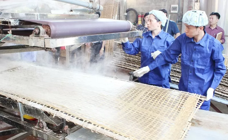 Tráng bánh làm miến dong bằng máy tại cơ sở của bà Dương Thị Liên, xã Tân Hòa. Ảnh: Quang Thiện