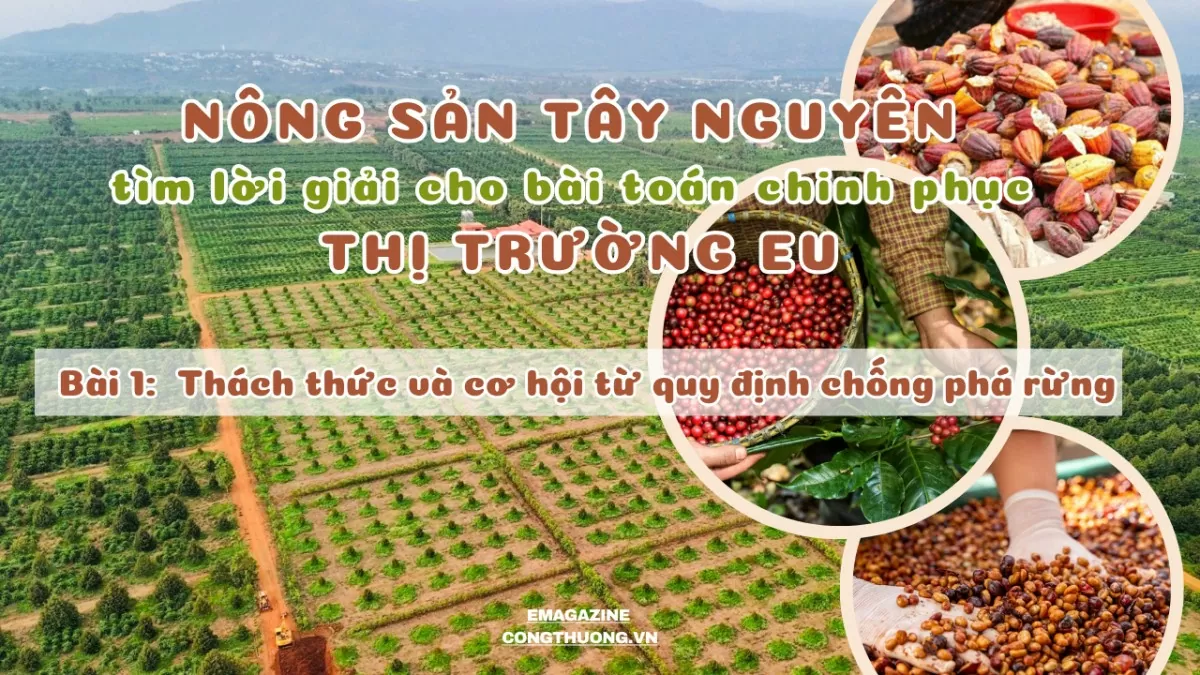 Bài 1: Thách thức và cơ hội từ quy định chống phá rừng