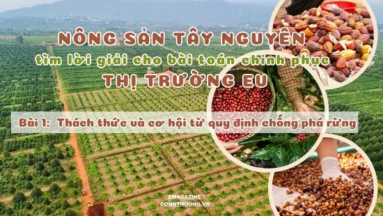 Bài 1: Thách thức và cơ hội từ quy định chống phá rừng