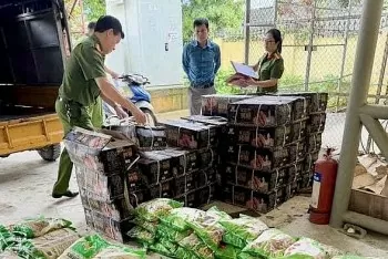 ha giang phat hien gan 30 tan thuc pham dong lanh khong ro nguon goc