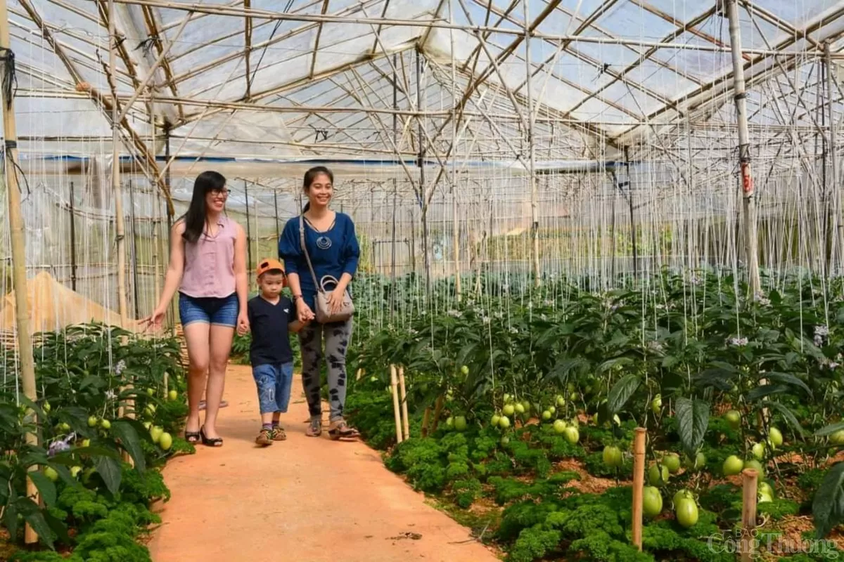 Sáp nhập Lâm Đồng, Đắk Nông, Bình Thuận