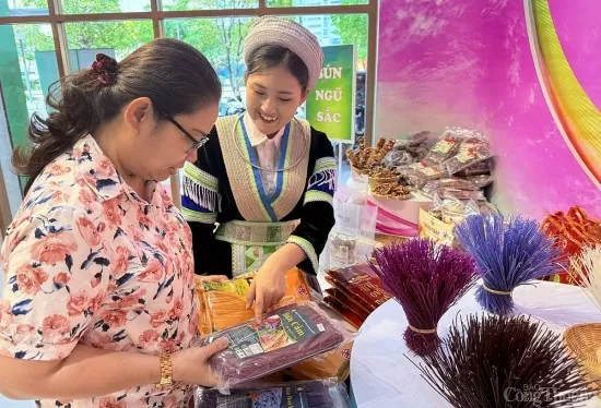 Cao Bằng xúc tiến tiêu thụ nông sản tại TP. Hồ Chí Minh