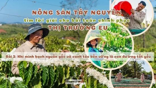 Bài 2: Khi minh bạch nguồn gốc và canh tác bền vững là con đường tất yếu