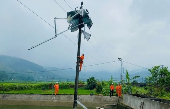 lao cai khuyen cao nguoi dan ve bao ve hanh lang an toan luoi dien