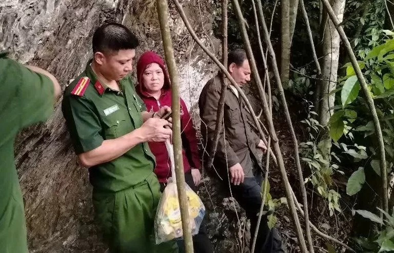 Tuyên Quang: Giải cứu hai vợ chồng lạc vào rừng xuyên đêm