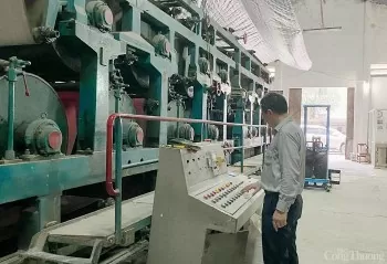 Viện Công nghiệp Giấy và Xenluylô: Nhiều nghiên cứu có tính ứng dụng cao