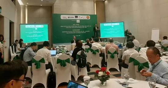 Rộng đường xuất khẩu cho gạo giảm phát thải