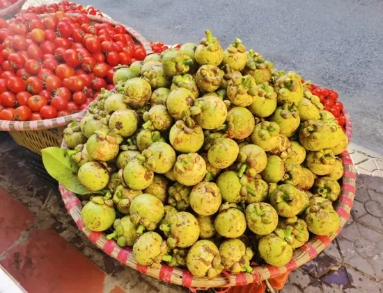 Măng cụt xanh giá cao vẫn 'cháy hàng'