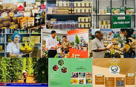 dak nong nong san vuon xa nho thuong mai dien tu