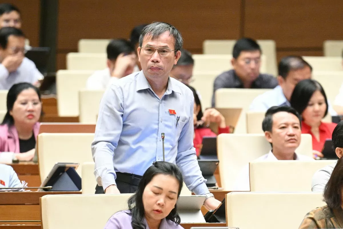 Đại biểu Đồng Ngọc Ba - Đoàn ĐBQH tỉnh Bình Định