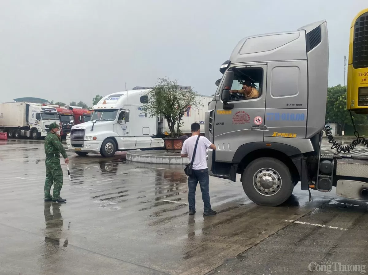 Xuất nhập khẩu qua cửa khẩu Kim Thành đạt trên 440 triệu USD Xuất nhập khẩu qua cửa khẩu Kim Thành đạt trên 440 triệu USD