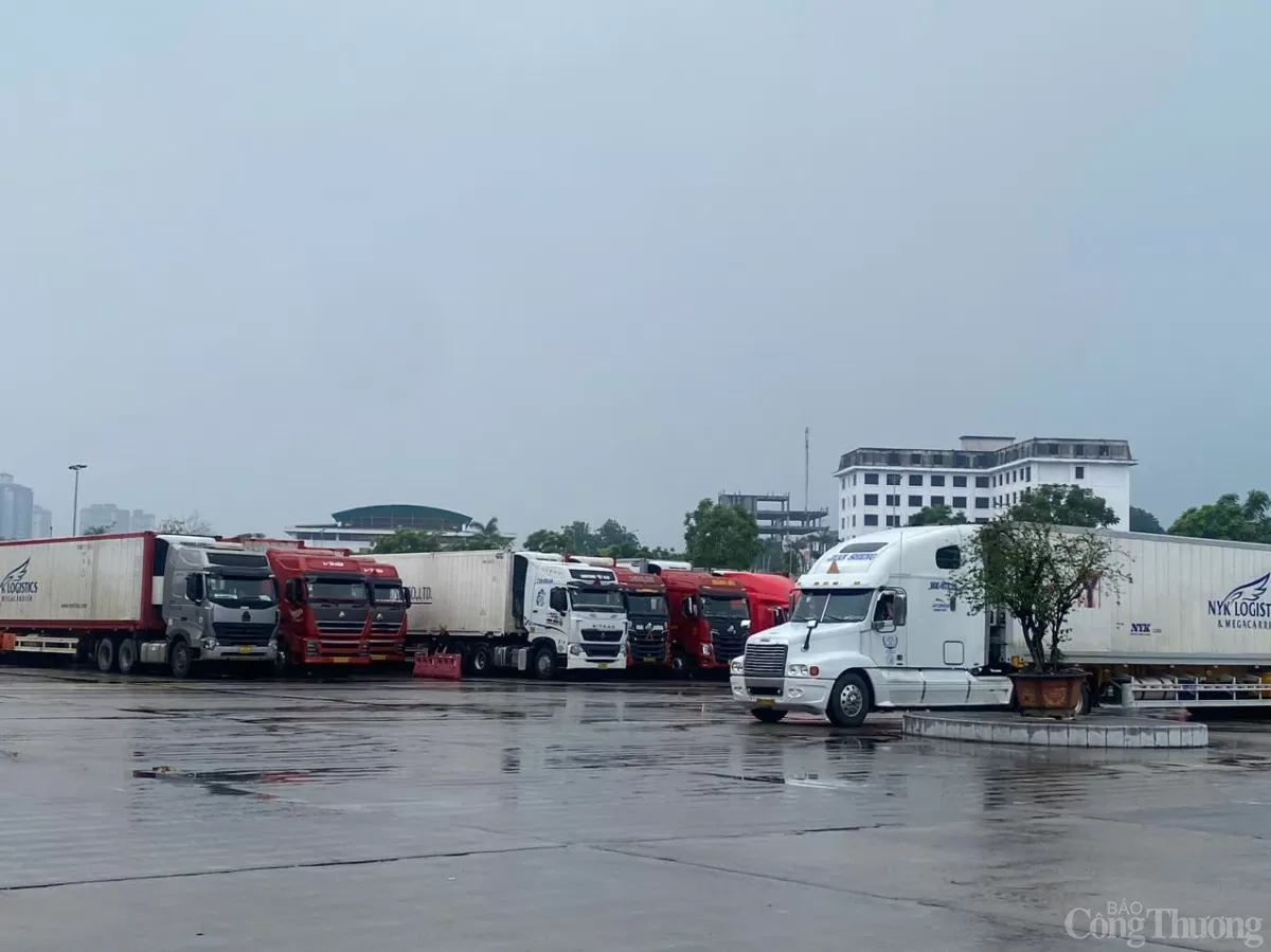 Xuất nhập khẩu qua cửa khẩu Kim Thành đạt trên 440 triệu USD Xuất nhập khẩu qua cửa khẩu Kim Thành đạt trên 440 triệu USD
