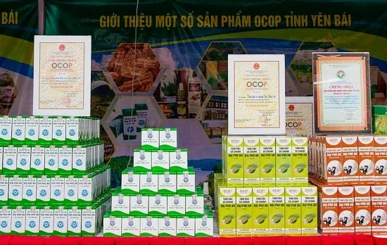 Yên Bái số hóa 100% sản phẩm OCOP