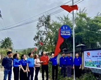 Ánh sáng từ phong trào
