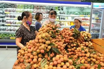 Giải ‘bài toán’ tiêu thụ sản phẩm miền núi, vùng sâu, vùng xa