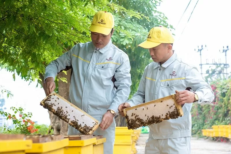 Honeco là thương hiệu hàng đầu cung cấp các sản phẩm ngành ong chất lượng cao tại Việt Nam