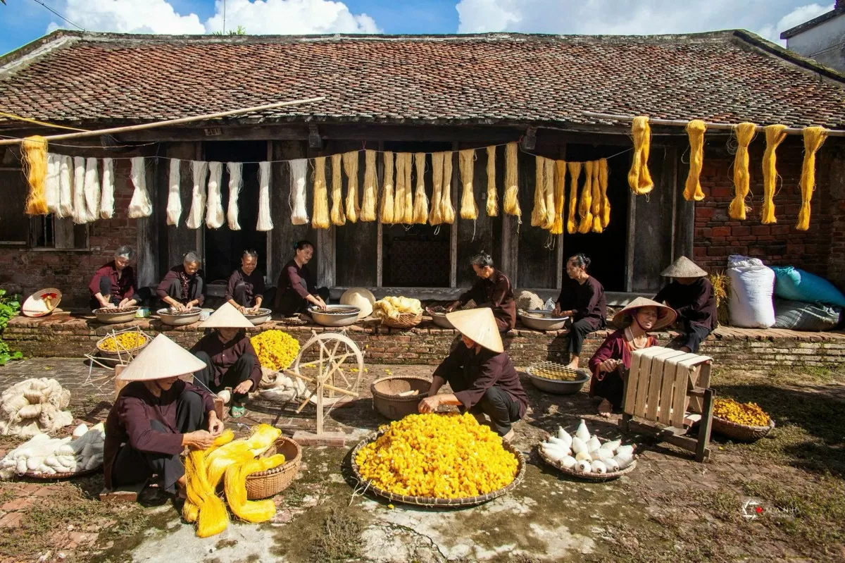 Bài 2: Tiếp sức lụa đũi vươn tầm thương hiệu quốc gia