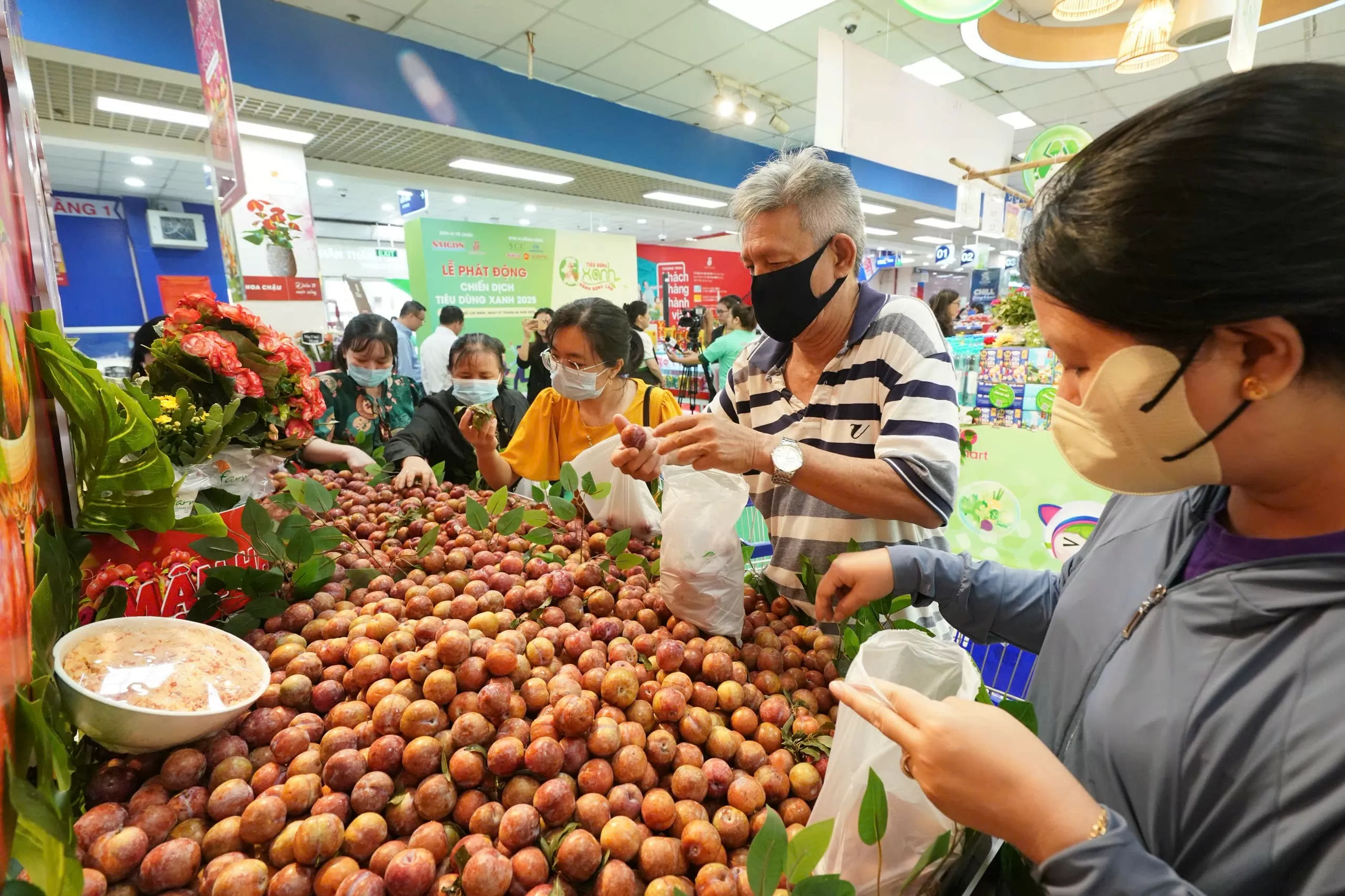 Mận hậu Sơn La mở rộng thị phần nhờ bán lẻ hiện đại
