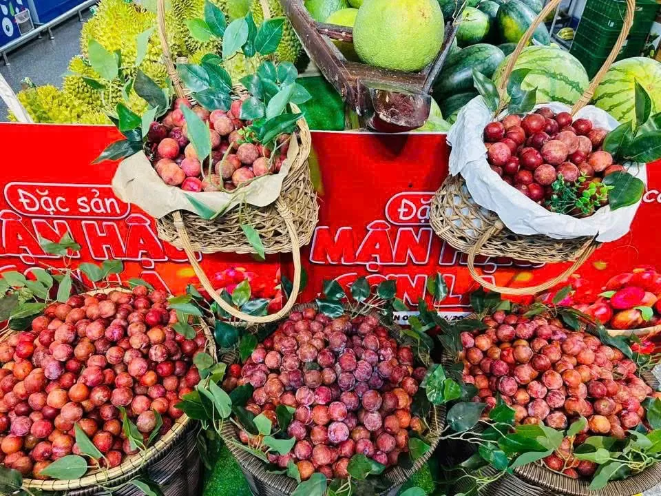 Mận hậu Sơn La mở rộng thị phần nhờ bán lẻ hiện đại