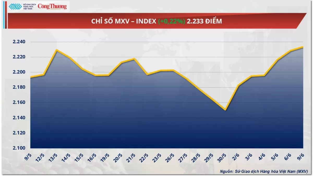 Giá cà phê Robusta quay đầu tăng 1,85% lên mức 4.522 USD/tấn