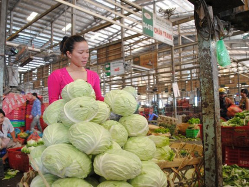 Tiểu thương không muốn nhập bắp cải, khoai tây Trung Quốc