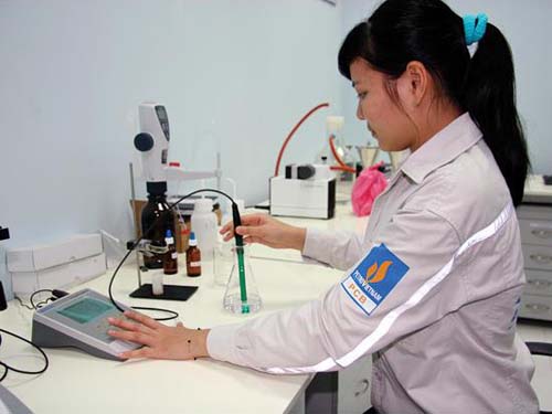 Các &quot;con&quot; nhà PVN nếm trái đắng dự án ethanol