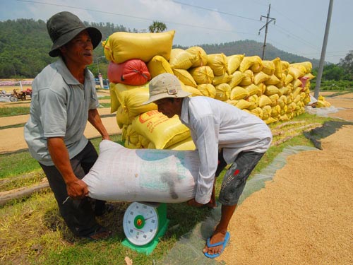 Tiêu thụ lúa gạo: Khó nhưng không bi quan