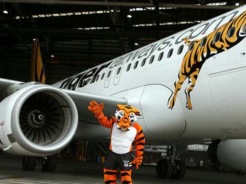 Tiger Airways vào cuộc đua máy bay mới A320 Neo