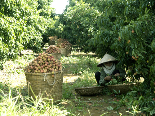 Hỗ trợ doanh nghiệp tham gia Hội chợ Triển lãm Làng nghề Việt Nam 2013