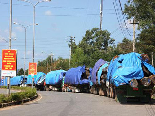 Khi chính sách hoàn thuế bị lợi dụng